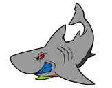 Desenho Tubarão furioso pintado por BielVilari