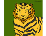 Desenho Tigre pintado por Marinha