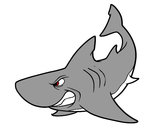 Desenho Tubarão furioso pintado por REXY