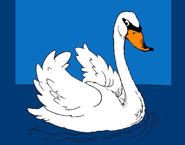 Desenho Cisne na água pintado por Marinha