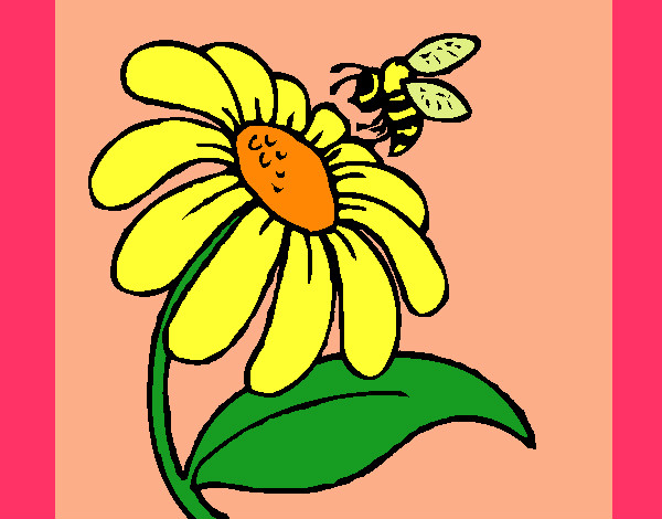 Desenho Margarida com abelha pintado por Miudinha