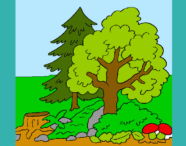 Desenho Bosque pintado por KORINE