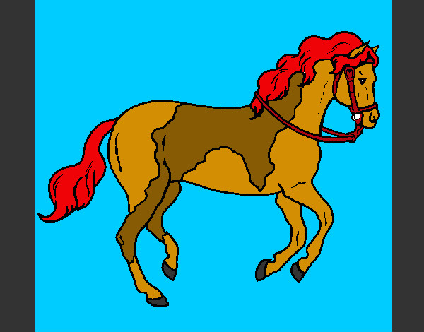 Desenho Cavalo 5 pintado por Matteo