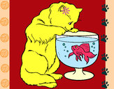 Desenho Gato a olhar para o peixe pintado por Miudinha