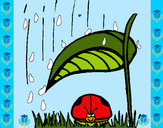 Desenho Joaninha protegida da chuva pintado por Miudinha
