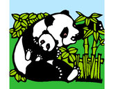 Desenho Mamã panda pintado por Luisinho