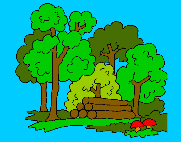 Desenho Bosque pintado por Salete