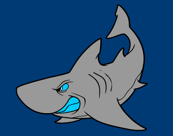 Desenho Tubarão furioso pintado por Gilherme