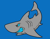 Desenho Tubarão furioso pintado por ricardoa