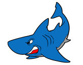 Desenho Tubarão furioso pintado por lucianacar