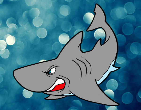 Desenho Tubarão furioso pintado por lularanjal