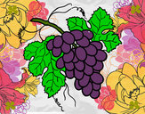 Desenho Cacho de uvas pintado por joice