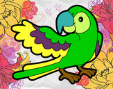 Desenho Papagaio abrir a asa pintado por jannyelli