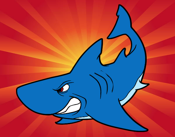 Desenho Tubarão furioso pintado por kino2406