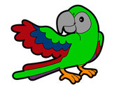 Desenho Papagaio abrir a asa pintado por Nayaara