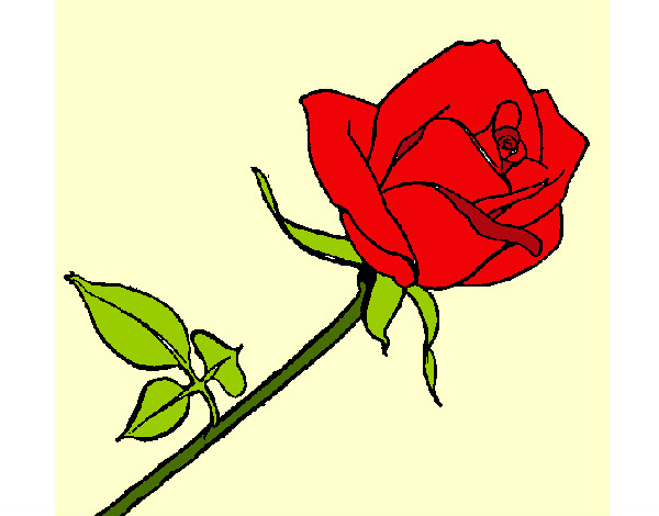 Desenho Rosa pintado por cambraia