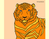 Desenho Tigre pintado por mayla