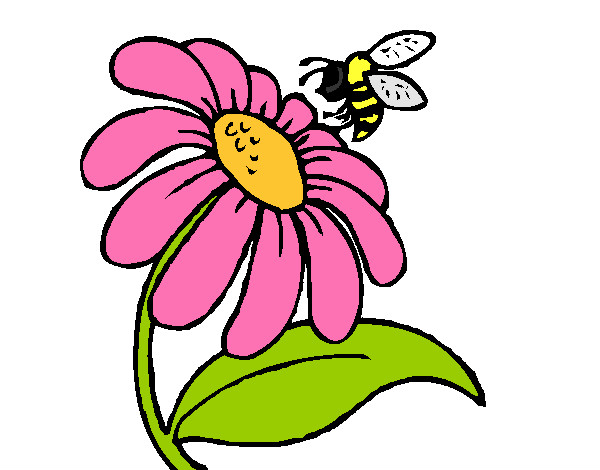 Desenho Margarida com abelha pintado por StefhanyB