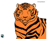 Desenho Tigre pintado por BellaLimaa