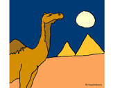 Desenho Camelo pintado por ImShampoo
