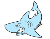 Desenho Tubarão furioso pintado por wendel11