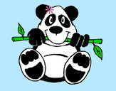 Desenho Urso panda pintado por Jenniffer