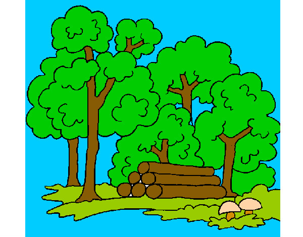 Desenho Bosque pintado por mazitha