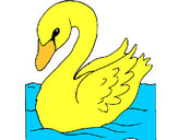 Desenho Cisne pintado por veronikka
