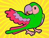 Desenho Papagaio abrir a asa pintado por Bethy