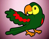 Desenho Papagaio abrir a asa pintado por Gabriel123