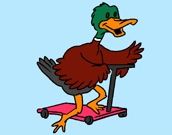 Desenho Pato em patins pintado por ImShampoo