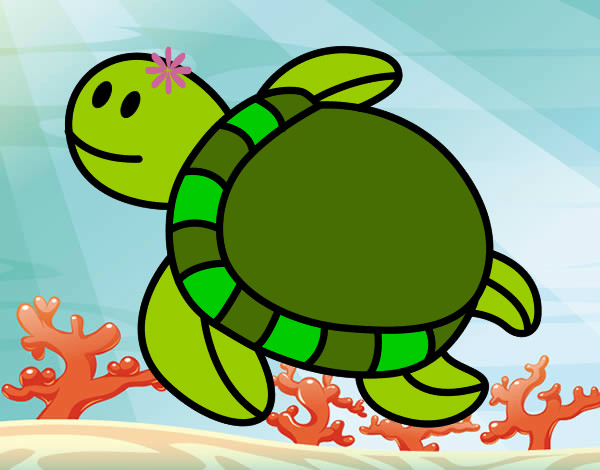 Tartaruga nadando