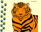 Desenho Tigre pintado por Jhonata