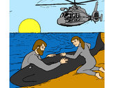 Desenho Resgate baleia pintado por dayra