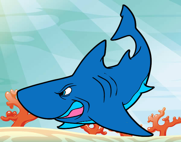 Desenho Tubarão furioso pintado por KAMY