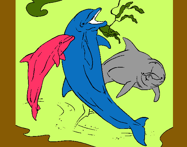 Desenho Golfinhos a brincar pintado por weverton