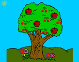 Desenho Macieira  pintado por veluda