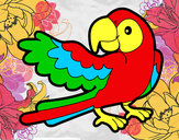 Desenho Papagaio abrir a asa pintado por reratinha