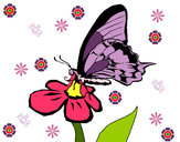 Desenho Borboleta numa flor pintado por juninhoart