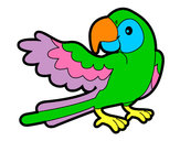 Desenho Papagaio abrir a asa pintado por Nini