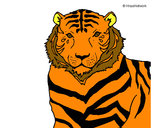 Desenho Tigre pintado por AdeoRafa