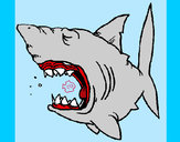 Desenho Tubarão pintado por dilceaires