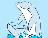 Desenho Salpicos golfinho pintado por Loli