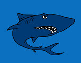 Desenho Tubarão pintado por betitamill