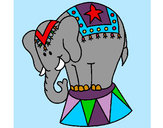 Desenho Elefante a actuar pintado por Ravieira