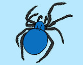Desenho Aranha venenosa pintado por Nadim