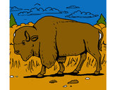Desenho Búfalo pintado por Nadim