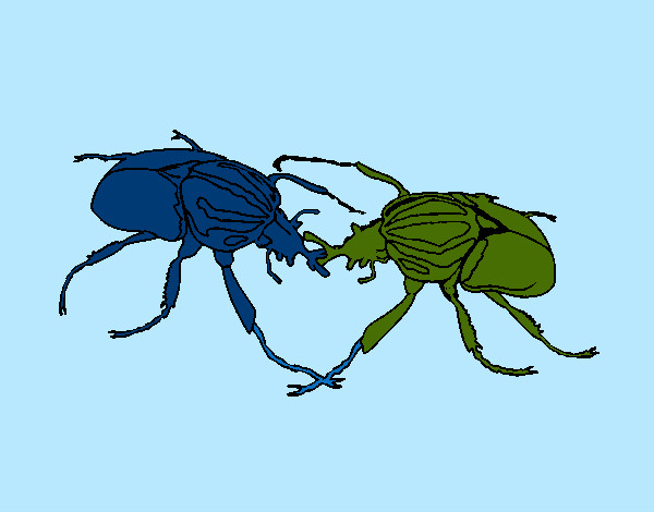 Desenho Escaravelhos pintado por Nadim