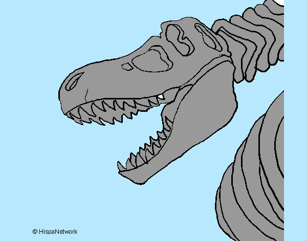 Desenho Esqueleto tiranossauro rex pintado por Nadim