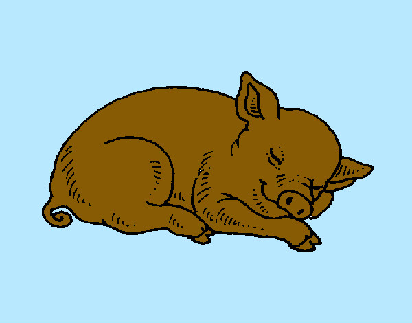 Desenho Porco a dormir pintado por Nadim